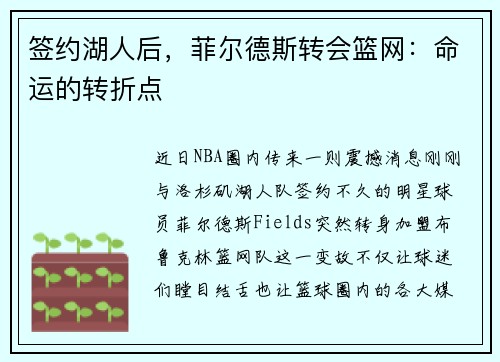 签约湖人后，菲尔德斯转会篮网：命运的转折点